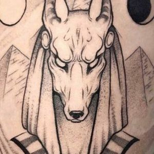 Meet your Posher, Reyes